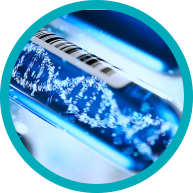 mutation test